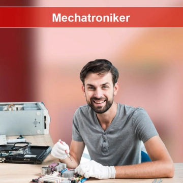 Jobs Hohenmölsen