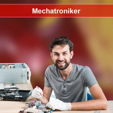 Jobs Muldenhammer