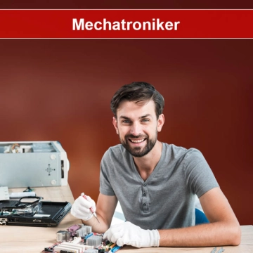 Jobs Olsberg